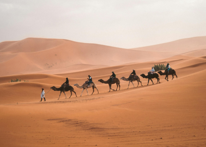 8 Days Morocco Tour from Fes to Marrakech