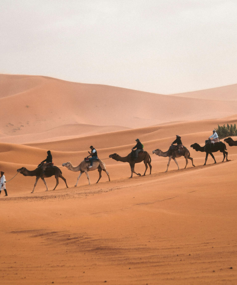 8 Days Morocco Tour from Fes to Marrakech