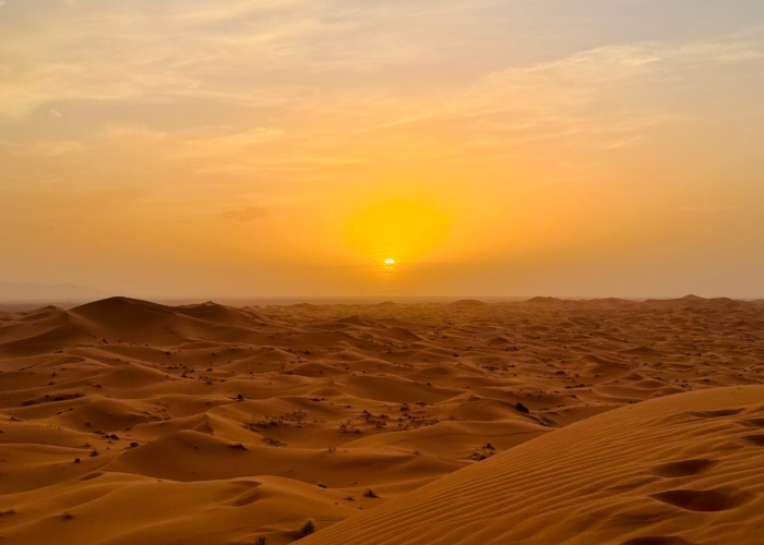Sunset Camel Trek in Merzouga